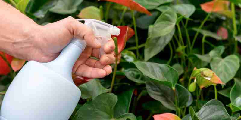 Consultoría integral en productos biocidas