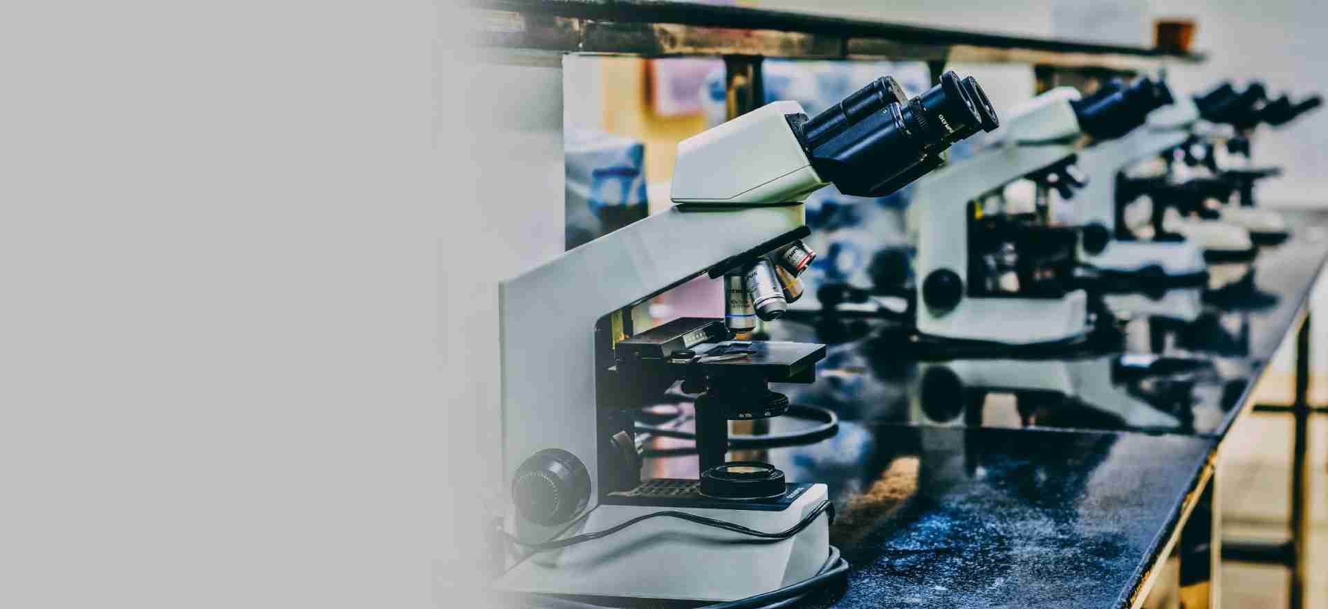 Fila de microscopios en un laboratorio